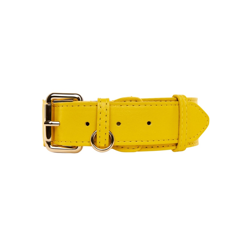 Yellow Italian Leather Classic Collar/Gold Classic Hardware