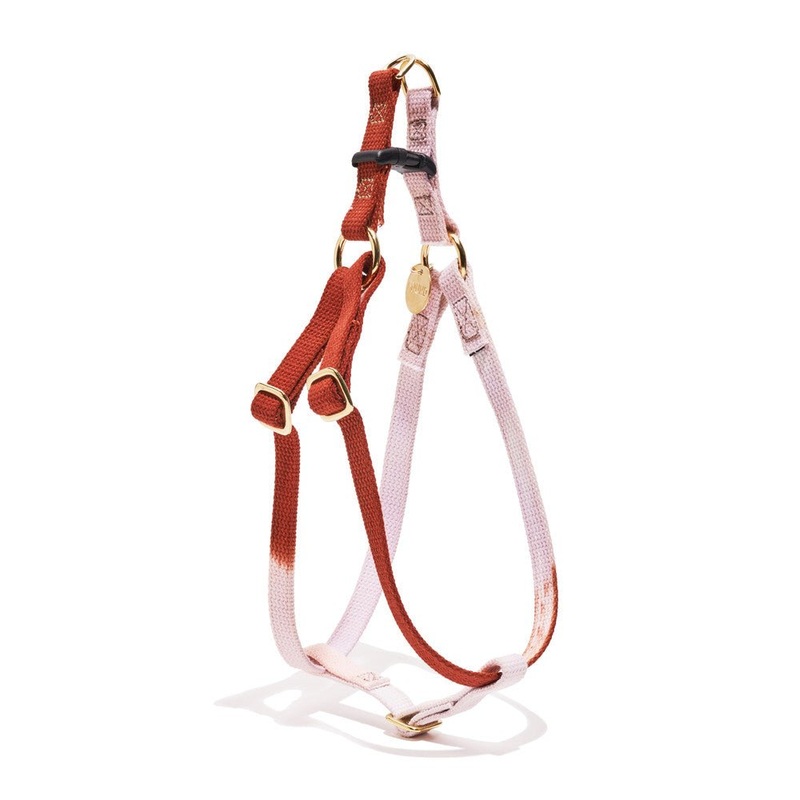 Arizona Cotton Rope Dog & Cat Harness  Handmade, Durable & Stylish | Found My Animal