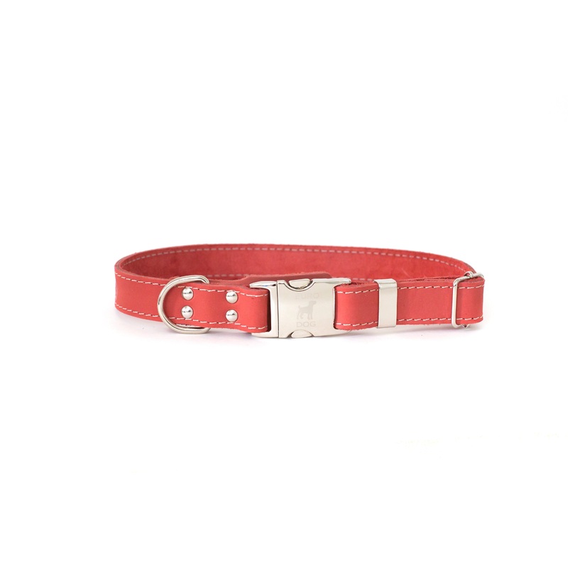 Bestseller Quick-Release Coral Reef Leather Dog Collar with Metal Buckle