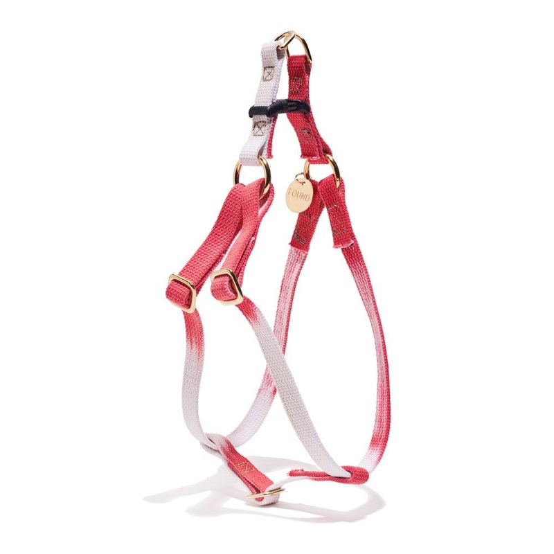 Found My Animal Scarlet Cotton Cat & Dog Harness  Adjustable, Durable & Stylish