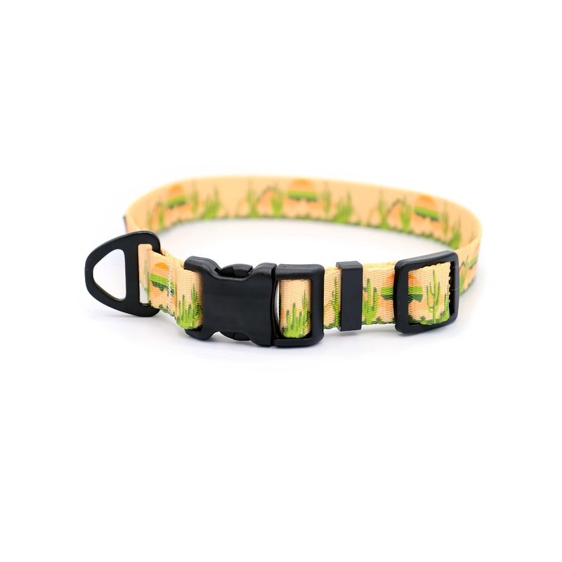 Outdoor Style Cactus Cream Nylon Dog Collar