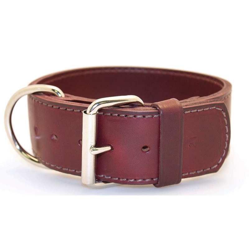 2" Latigo 2-Ply Leather Sporting Dog Collars with D-ring in Front