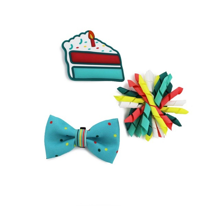 Ancol Its My Birthday Collar Accessories