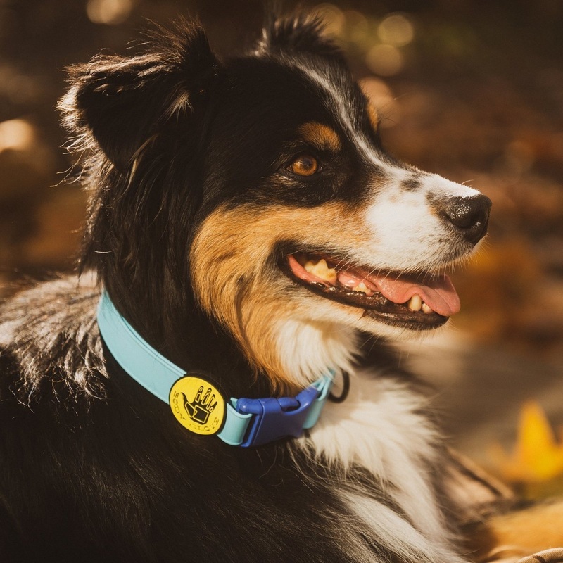 Body Glove Waterproof Collar