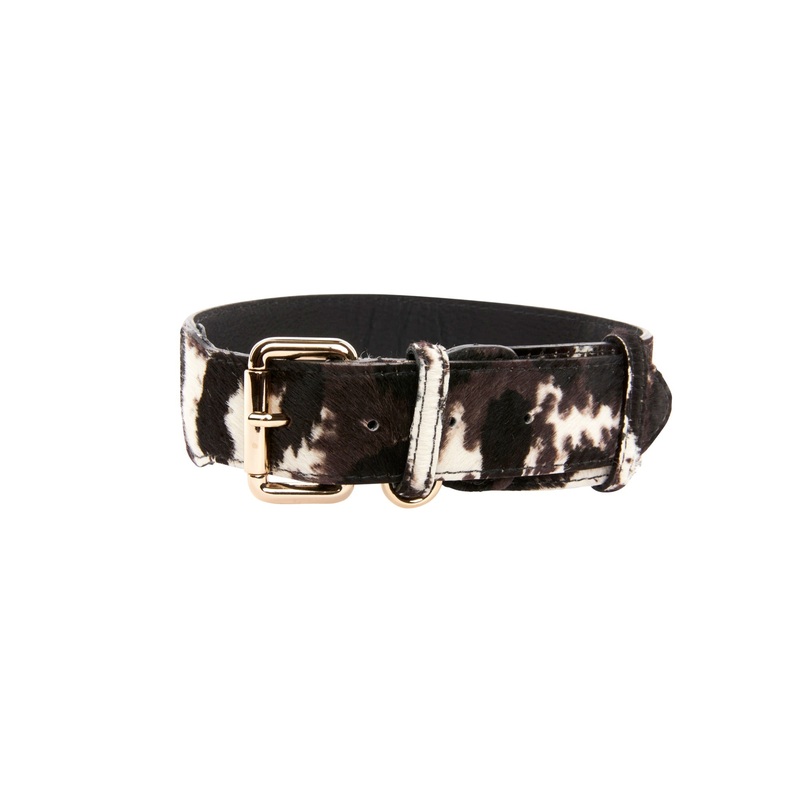 Brown, Black & White Hair On Hide Collar With Classic Gold Hardware