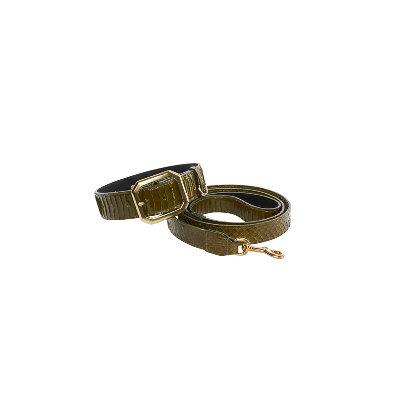 Olive Green Snake Collar & Leash Set
