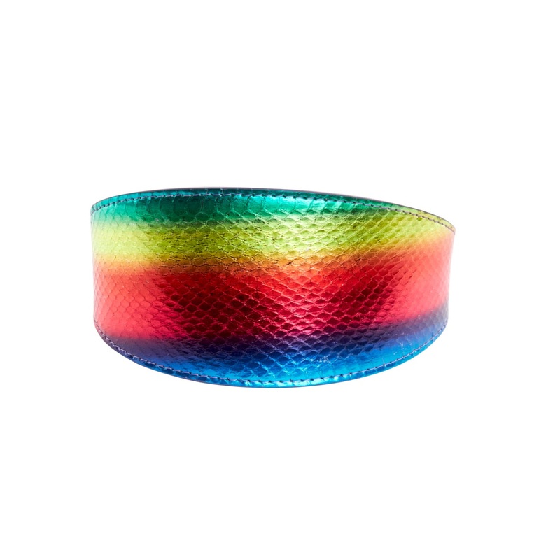 Pride Collection. Rainbow Snake 3 Wide Style Collar