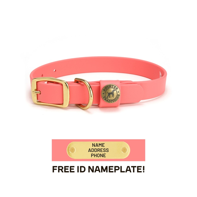 Sporting Dog Collar - Coral