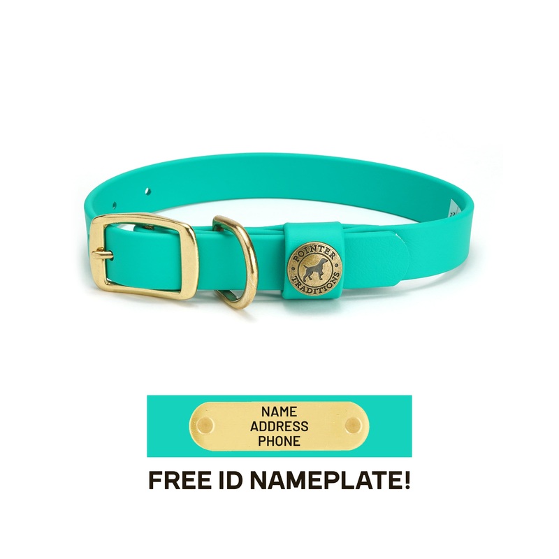 Sporting Dog Collar - Teal