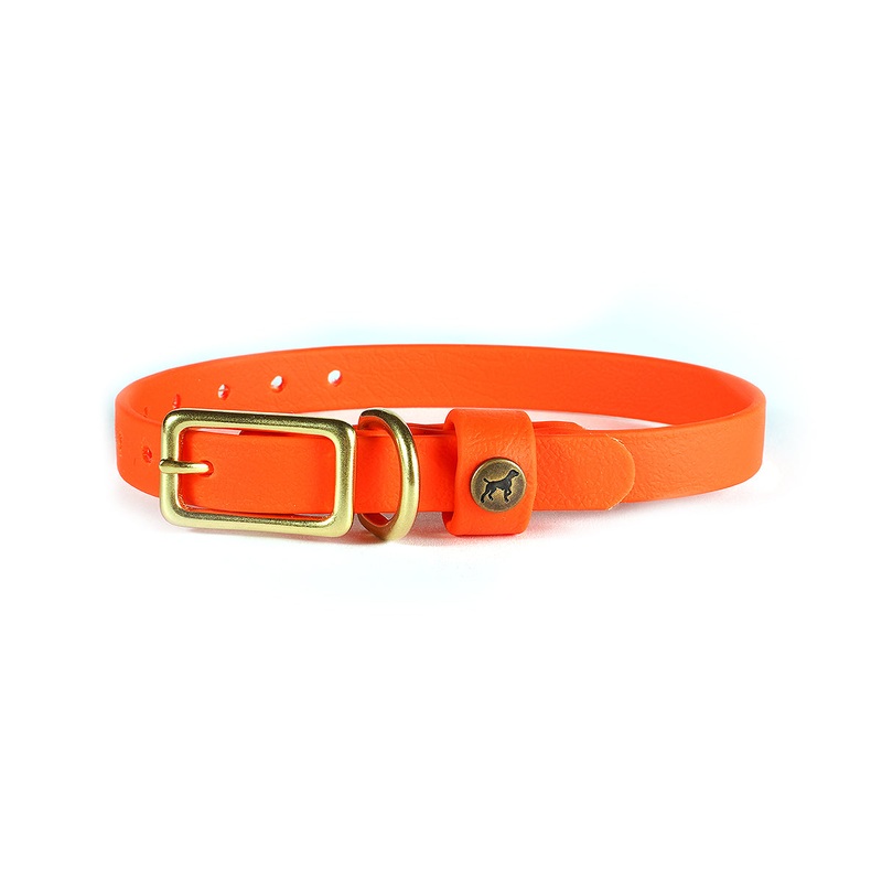 Sporting Puppy Collar - Blaze Orange