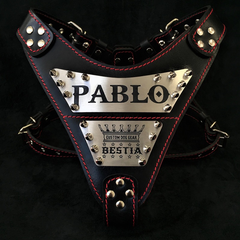 The "Metal" harness- Personalized!