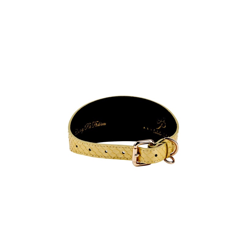 The Starlet. Pearl Yellow Snake Starfish 3 Wide Style Collar