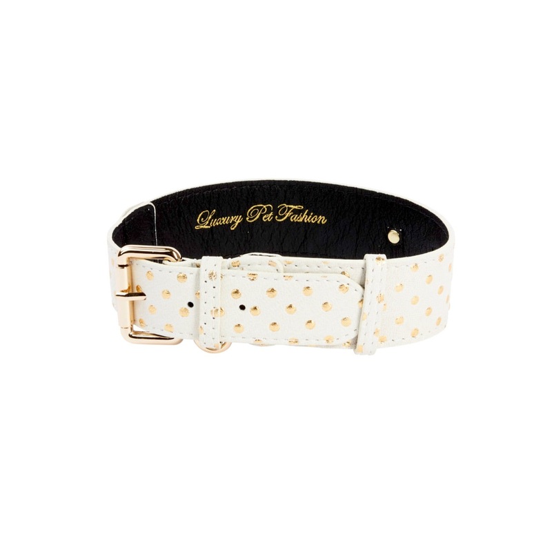 White & Gold Polka Dot Italian Leather Classic Collar