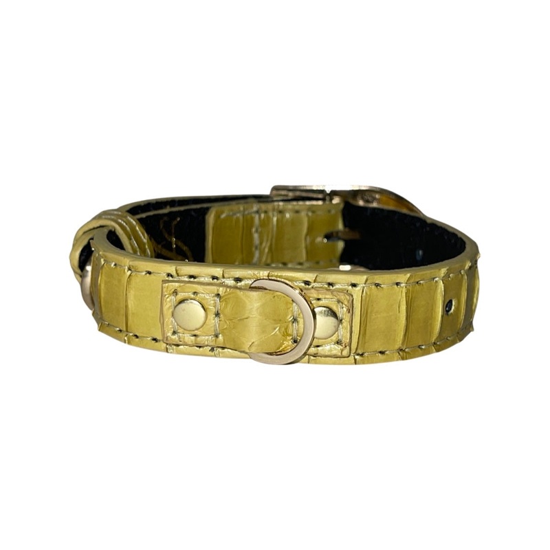 XS/S 7-14 Light Yellow Patent Custom Snake Collar/Custom Gold Italian Hardware