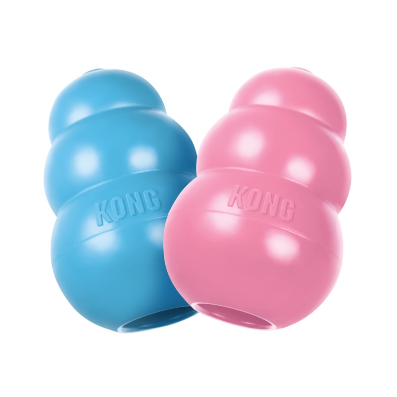 KONG Puppy Assorted Colours