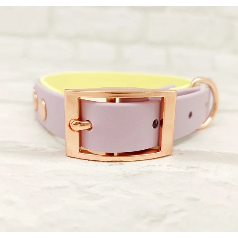 Trinkety Paws Waterproof Dog Collar Lemon/Lilac