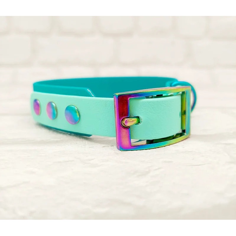 Trinkety Paws Waterproof Dog Collar Teal/Seafoam