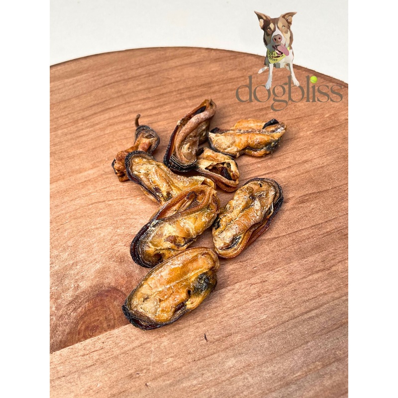 Air-Dried Green Lipped Mussel Counter