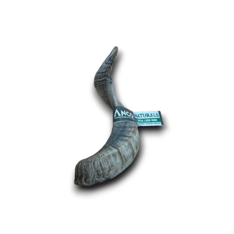 Anco Lamb Horn - Price Per 1 Piece
