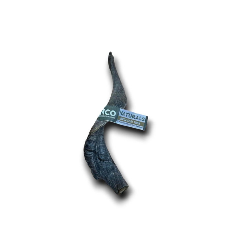 Anco Mega Goat Horn - Price Per 1 Piece