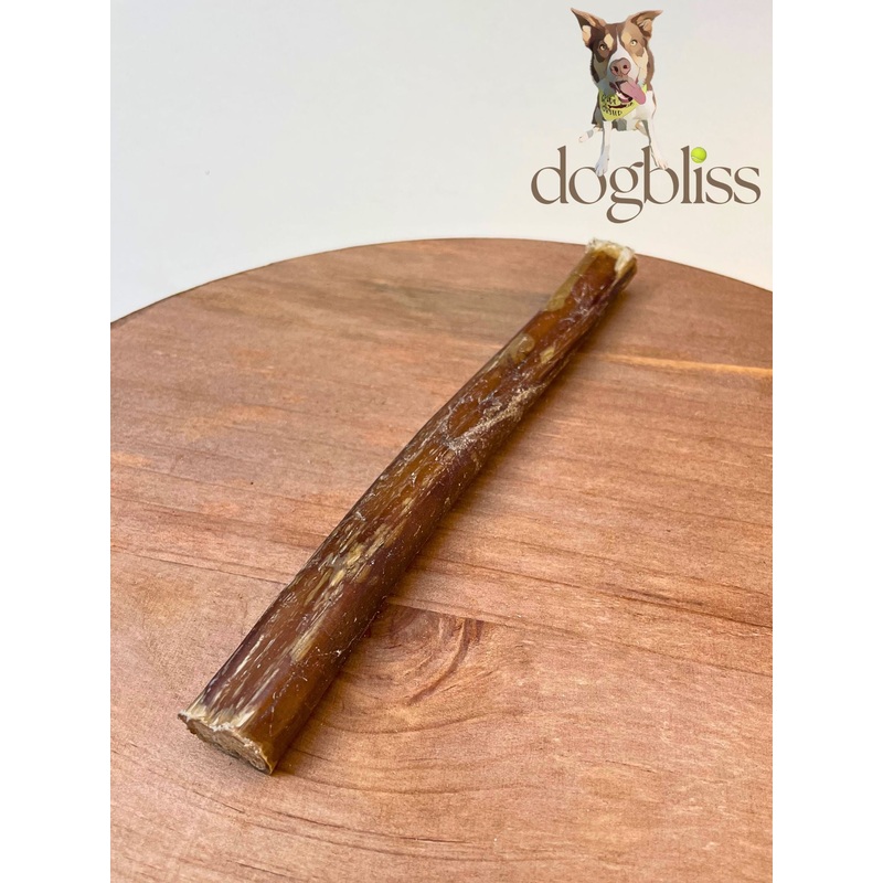 Jr Pet Beef Pizzle Extra Large /Thick  - Price Per 1 Piece