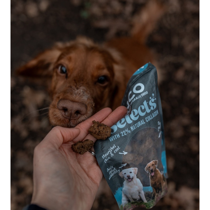Anco Selects Duck Bites with Collagen 85g
