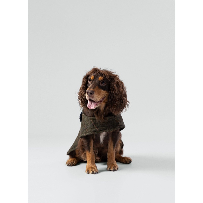 Hackett x Hugo Hudson Dark Green Checked Tweed Dog Jacket