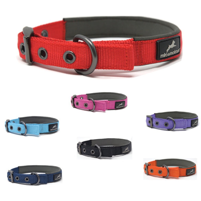 Miro & Makauri metal buckle collar 2.5cm 45-55cm