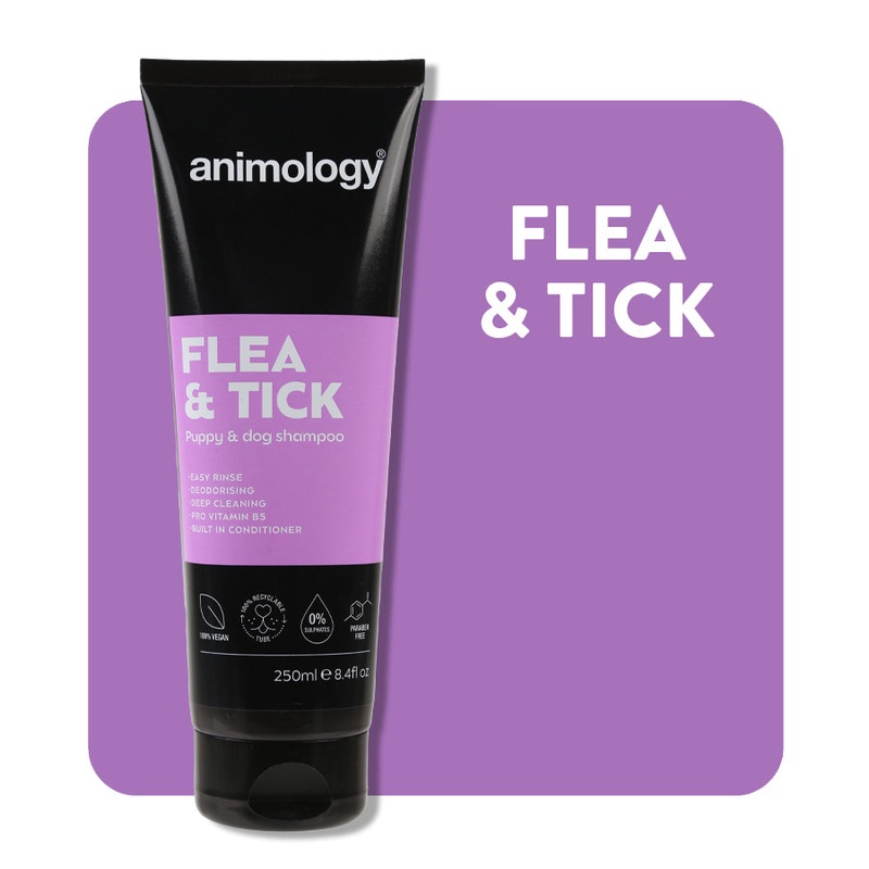 Animology Flea and tick Shampoo