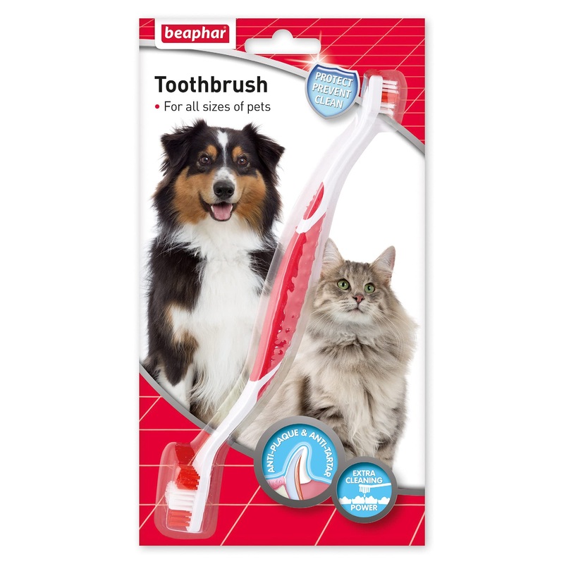Beaphar Toothbrush