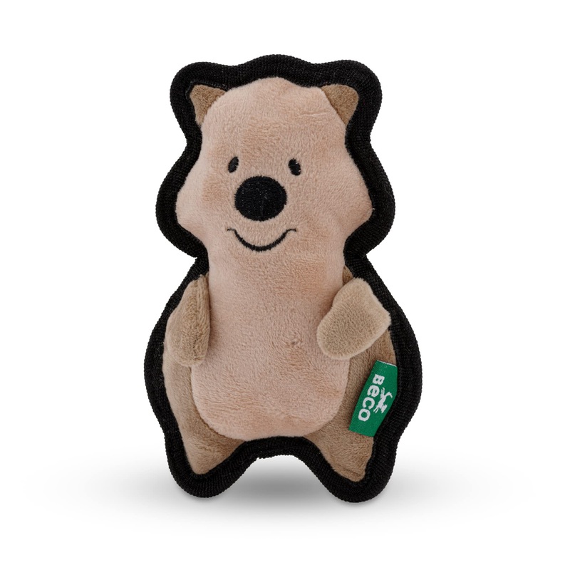Beco Quinn The Quokka