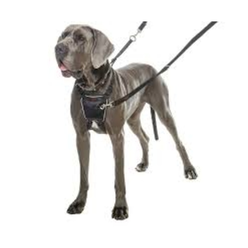 COA Halti No Pull Harness Medium