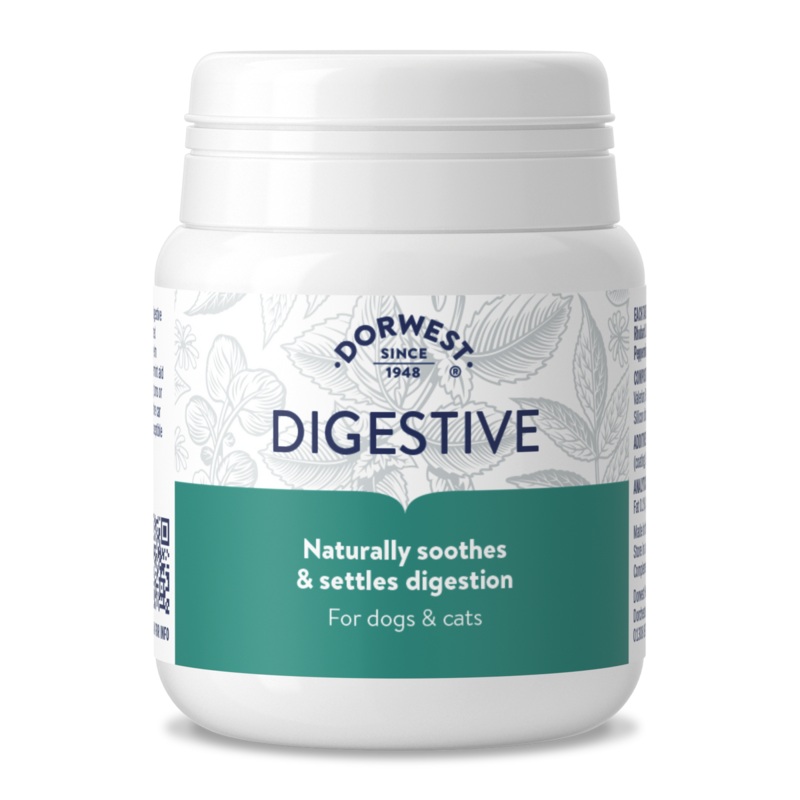 Dorwest Digestive Tablets 100 Tablets