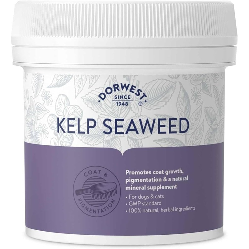 Dorwest Kelp Seaweed Powder 250g