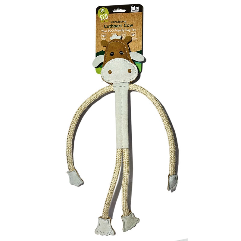 Miro Cuthbert Cow
