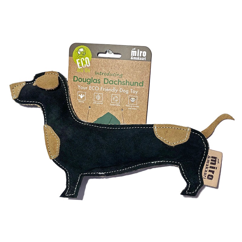 Miro Douglas Dachshund