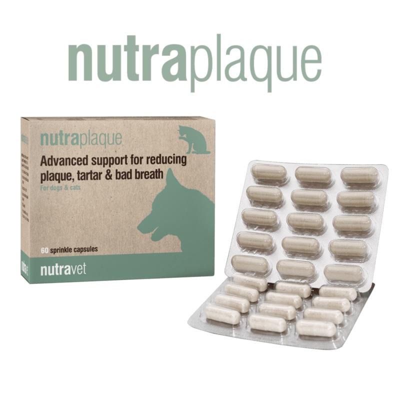 Nutraplaque Dogs & Cats 120 Capsules