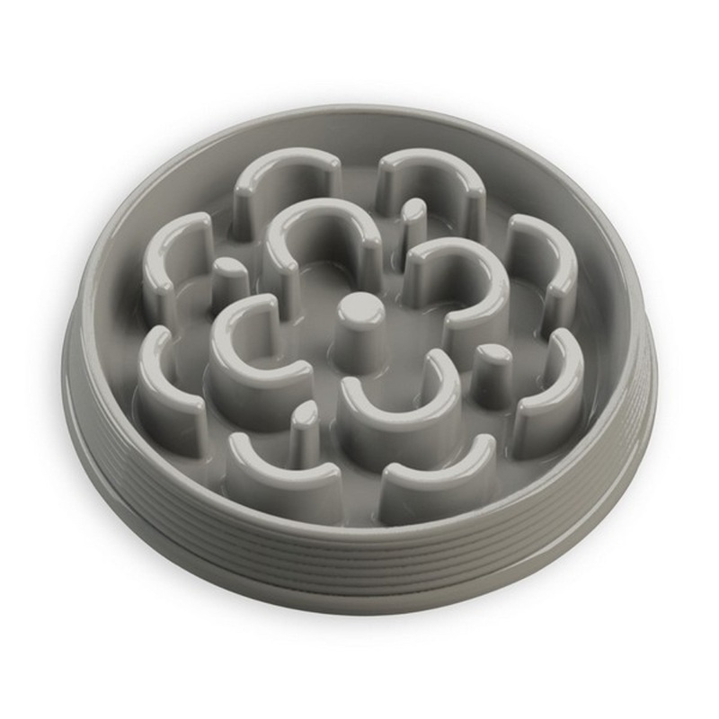 Tarhong Slow Medallion Feeder Medium Bowl