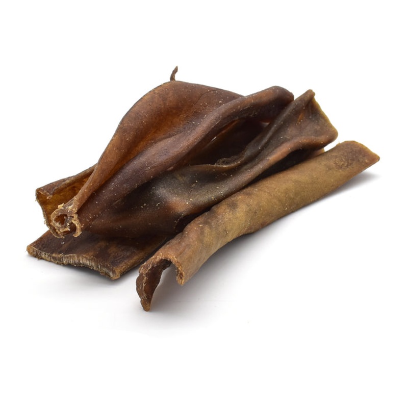 Camel Skin