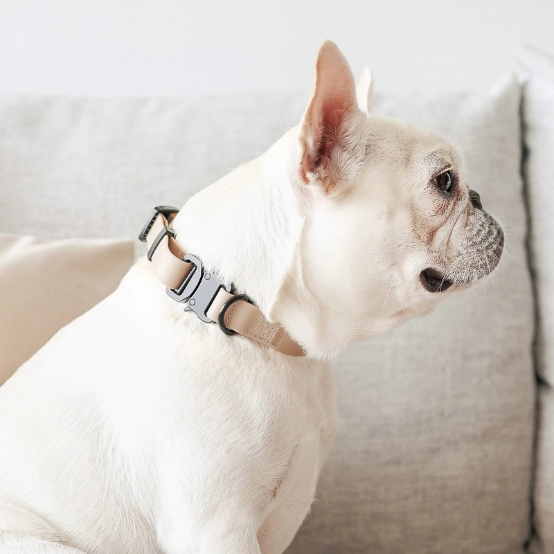 AVA quick-release metal buckle collar for Dogs