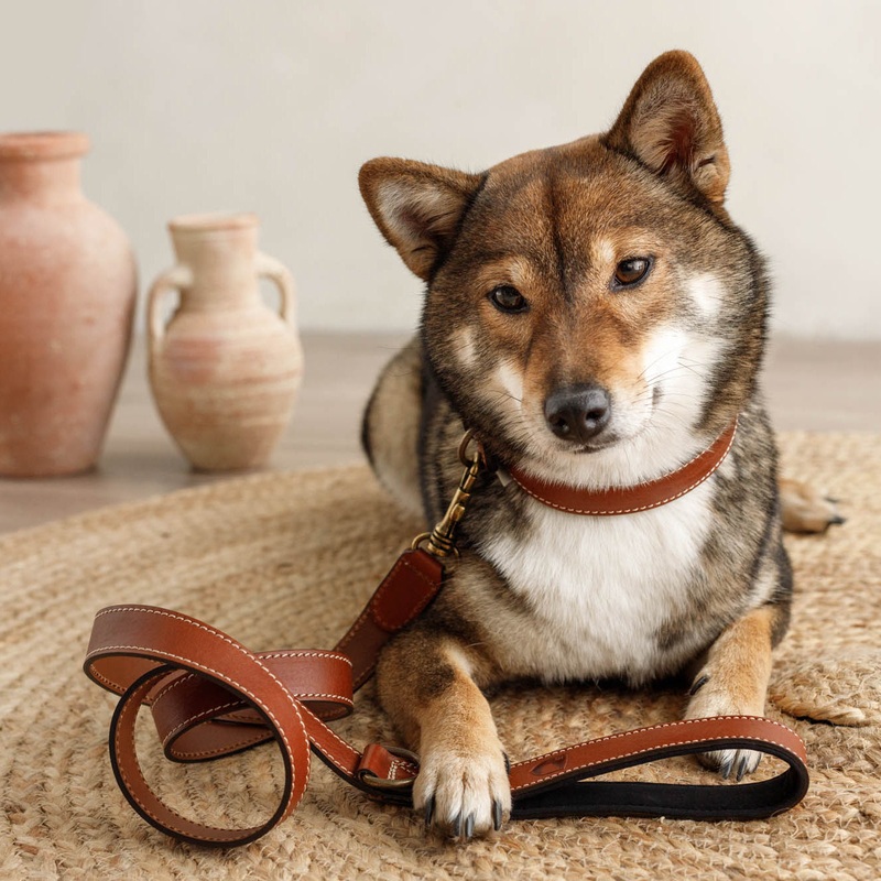 Buddy's Dogwear Neo Designer Leather Dog Lead