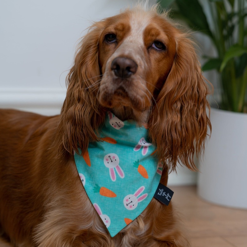 Bunnies & Carrots Easter Bandana for Dogs