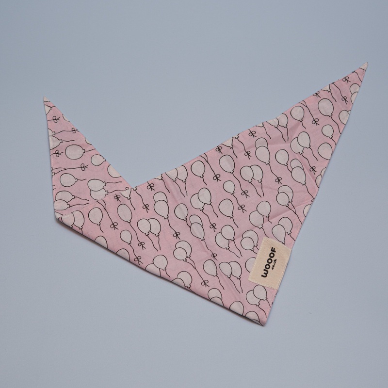 Celebration Bandana for Dogs