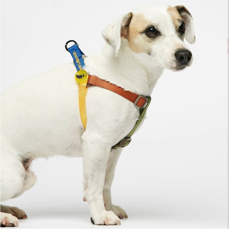 Colourful Sonia Dog Harness: Mimosa and Moss Multicolour