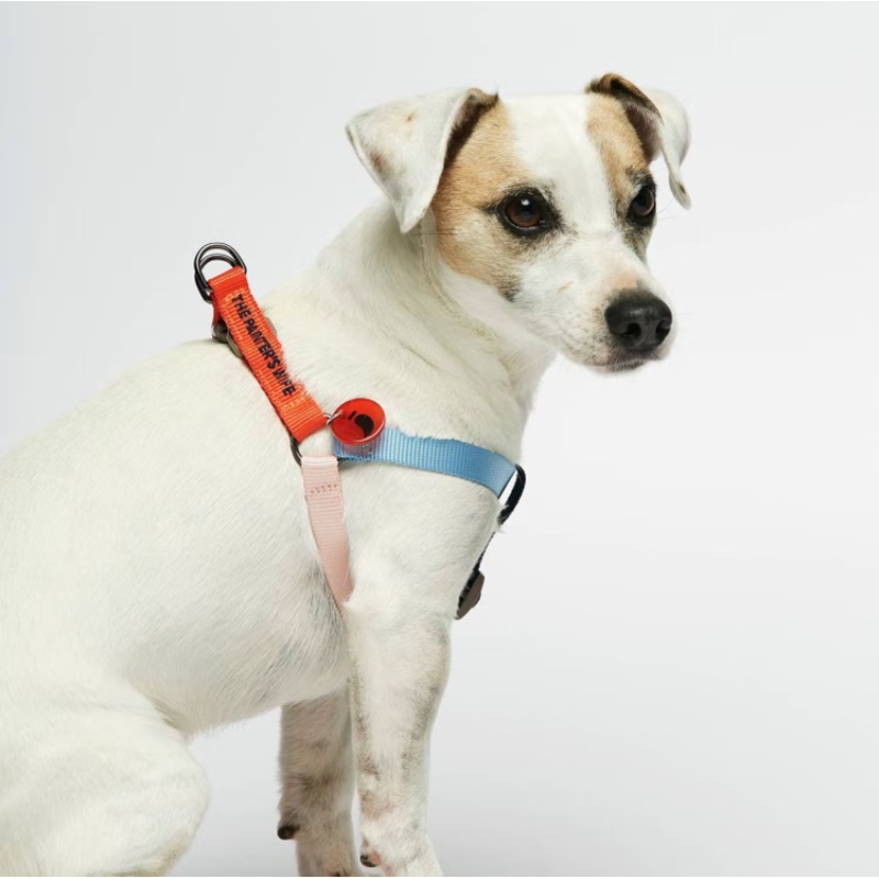 Colourful Sonia Dog Harness - Vermillion and Cherry Multicolour