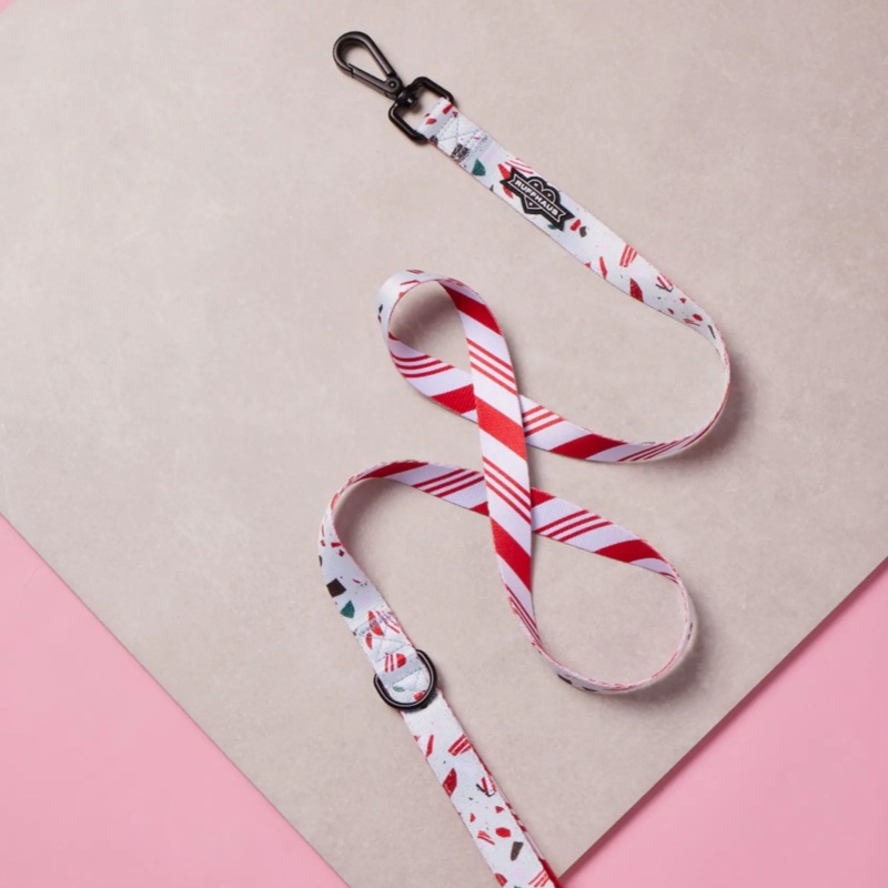Confetti Dog Leash