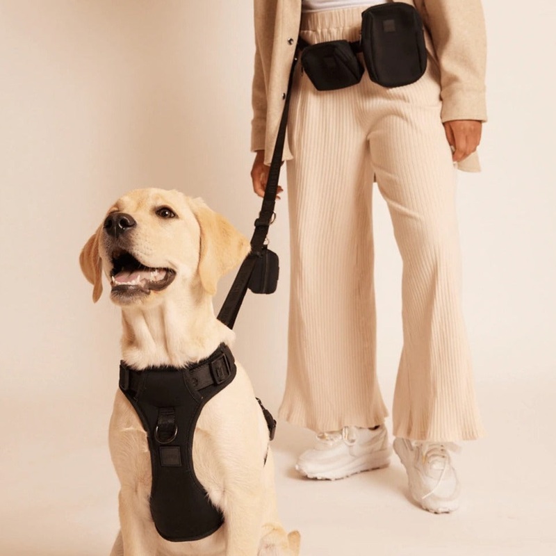 "Go with Ease" Hands Free Dog Lead - Black