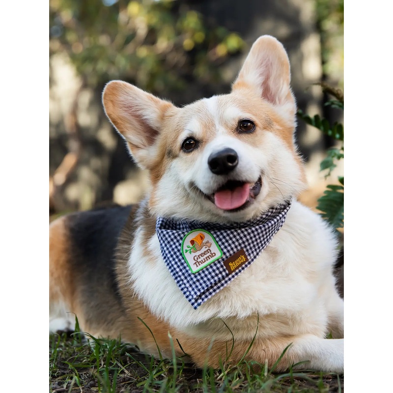 "Green Thumb" Iron-On Patch Dog Accessory