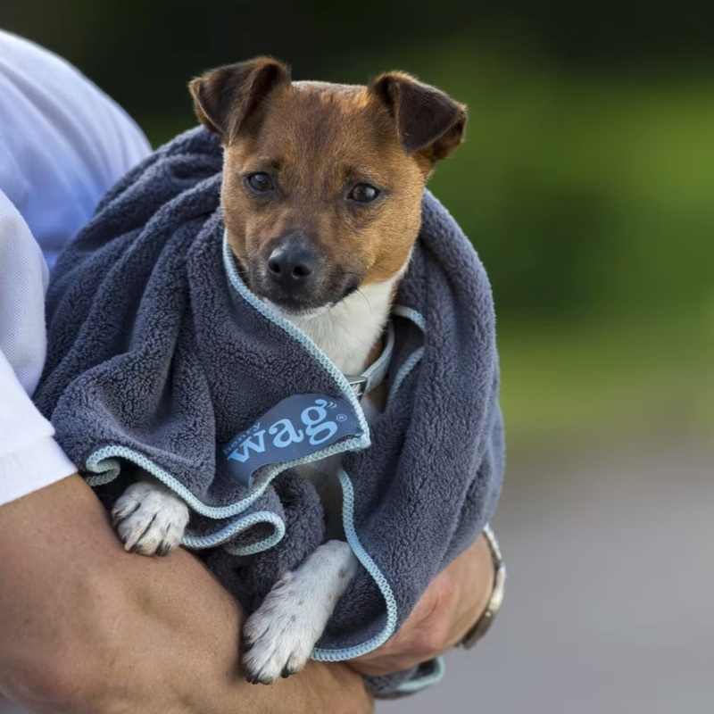 Microfibre Dog Towel - Henry Wag