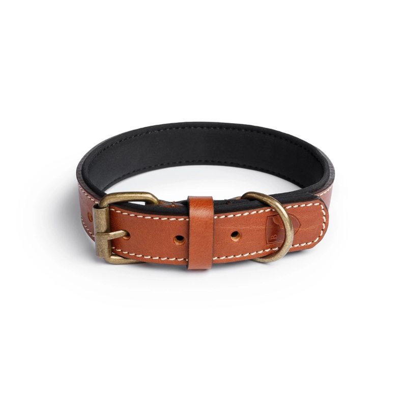 Neo Designer Leather Dog Collar